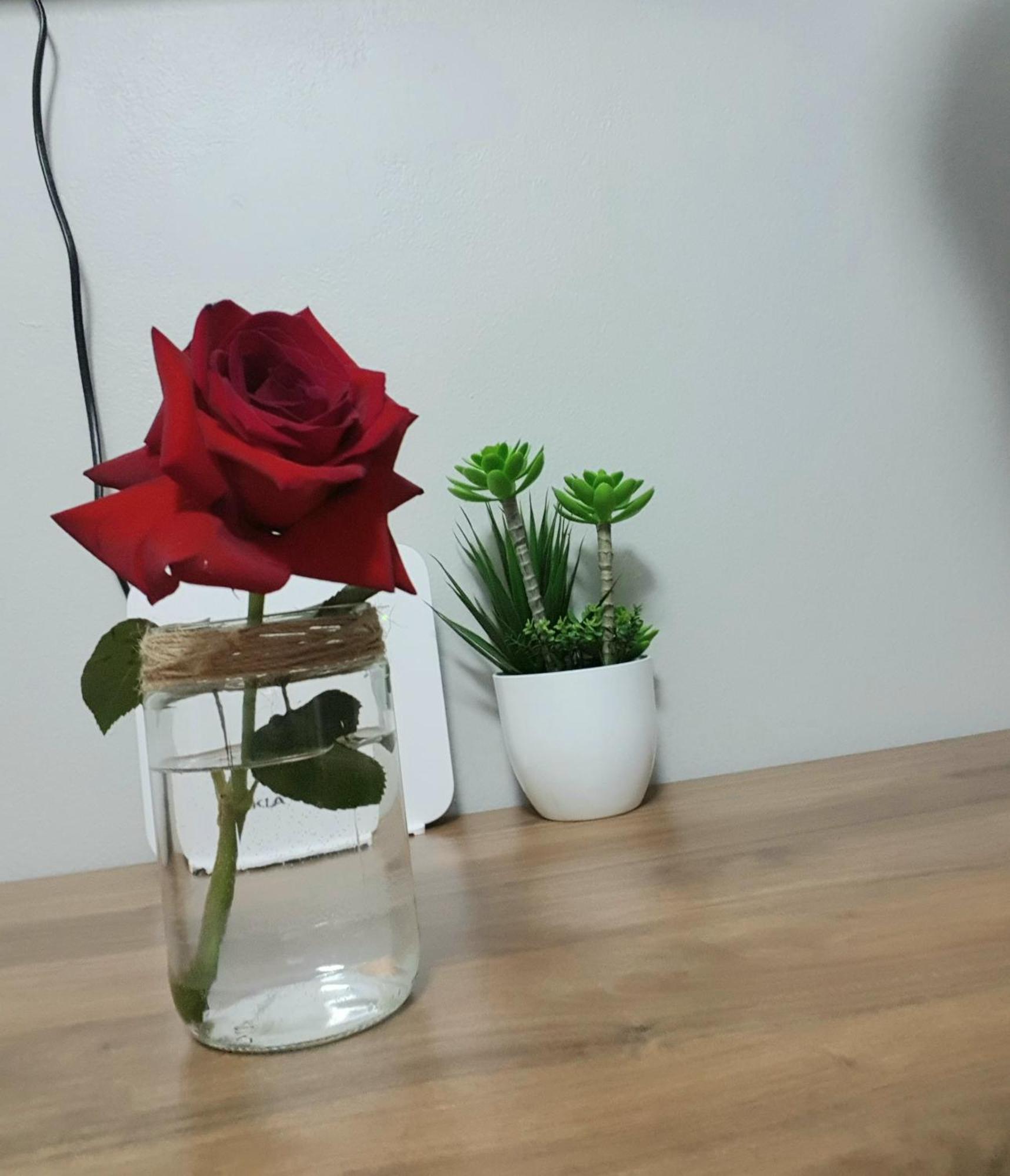 טיראנה Nevila'S Apartment מראה חיצוני תמונה
